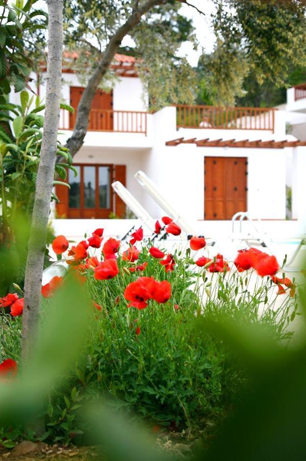 Skopelos Summer Homes Exterior photo